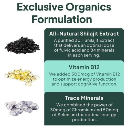 Shilajit Gummies | Energy Gummies | Pure Himalayan Shilajit for Men & Women